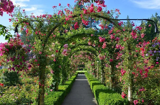 Tagesausflug per Fähre nach Victoria & zu den Butchart Gardens