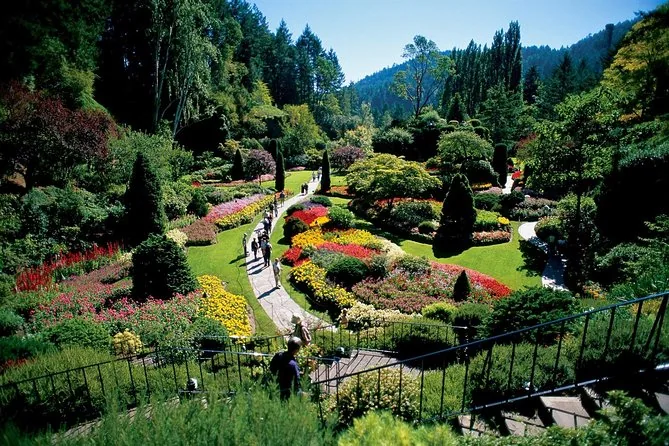 Tagesausflug nach Victoria & zu den Butchart Gardens